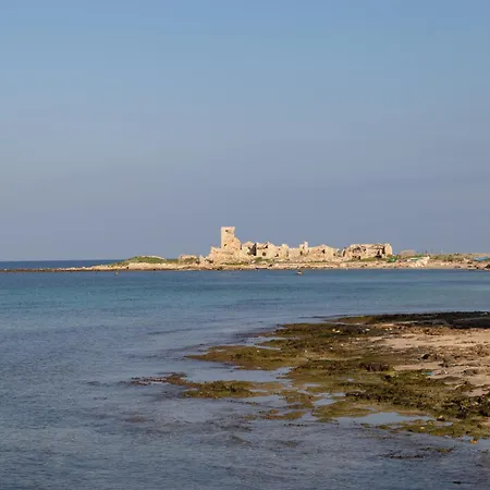 Capitan Trinchetto Agave Trapani