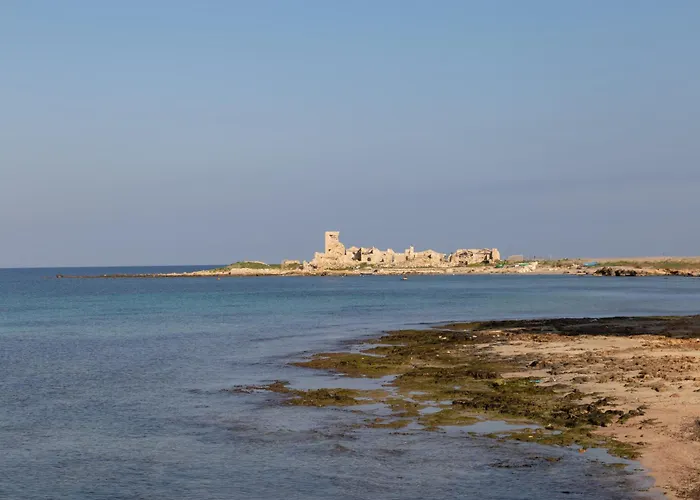 Capitan Trinchetto Agave Trapani